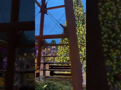 LIVE 80’s Music @ THE VILLAGES, Florida ! Fancy Reagan @ Brownwood Paddock Square