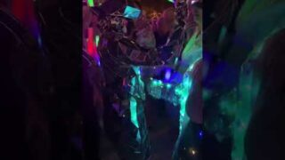 The Villages Florida ELECTRIC LIGHT PARTY: MIRROR CAT