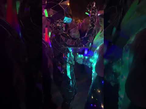 The Villages Florida ELECTRIC LIGHT PARTY: MIRROR CAT