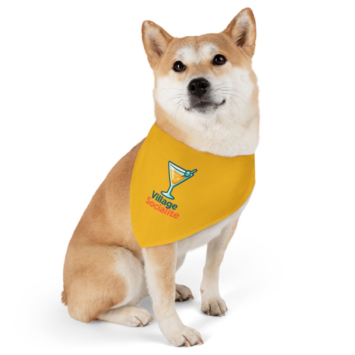 Village Socialite™ Pet Bandana Collar