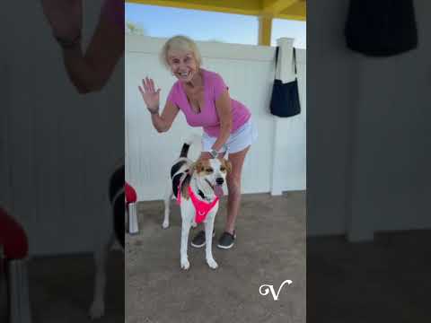 Dog Parks in The Villages