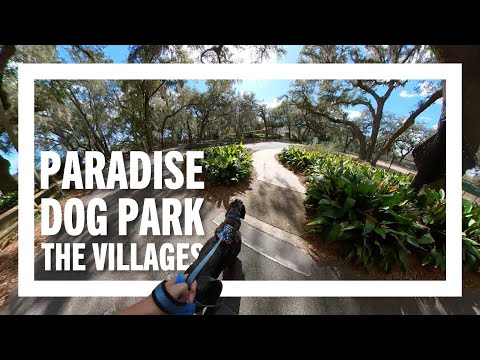 🐾 Paradise Dog Park in The Villages Florida with Gridley the Aussie-Doodle #thevillages