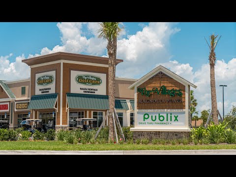 New Businesses at Magnolia Shopping Plaza in The Villages, FL