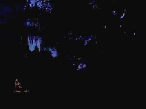 Relaxing Night Rainstorm at The Villages Florida