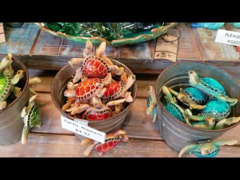 Shopping with Sue in Brownwood at The Villages Florida