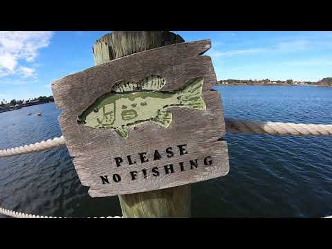 The Villages Florida Doctor Offices and A Walk and Talk Around Lake Sumter Landings