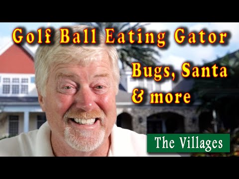 The Villages Florida, Golf Ball Eating Alligator, Bugs, SantaCon, Bugs, Dogs,
