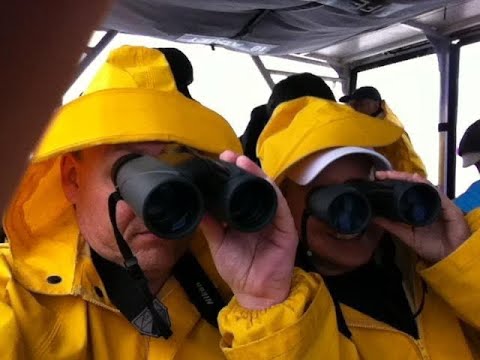 The Villages golf cart ride – Fenney to Orange Blossom