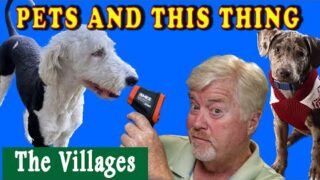 Your Pets in The Villages Florida. Is it too hot, Dog Parks and all those rules… get it straight.