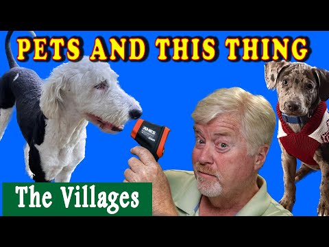 Your Pets in The Villages Florida. Is it too hot, Dog Parks and all those rules… get it straight.